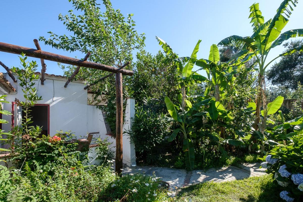 La Rosa Dei Venti Procida Exterior foto
