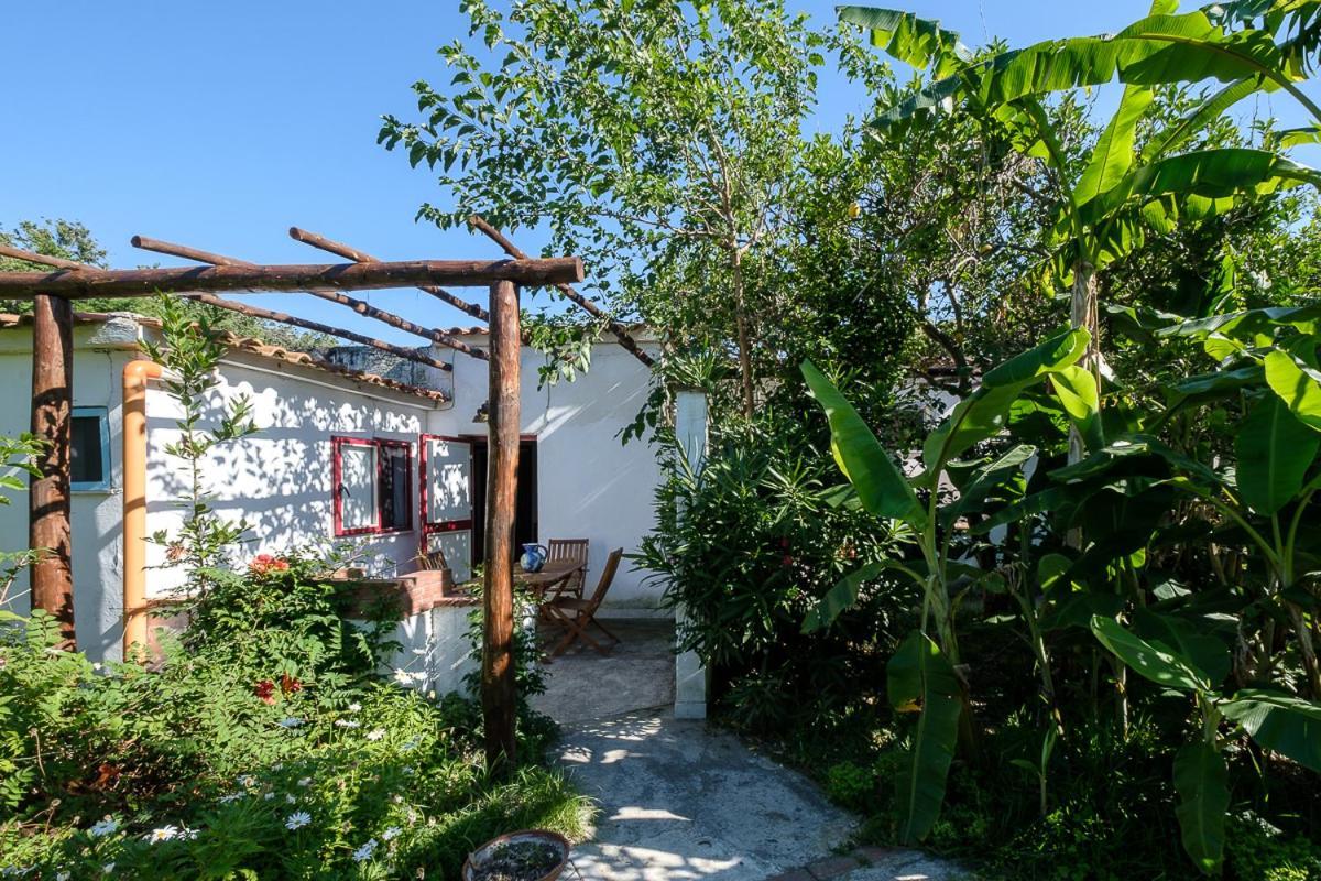 La Rosa Dei Venti Procida Exterior foto