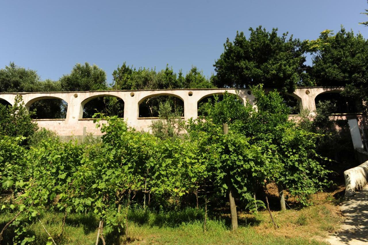 La Rosa Dei Venti Procida Exterior foto